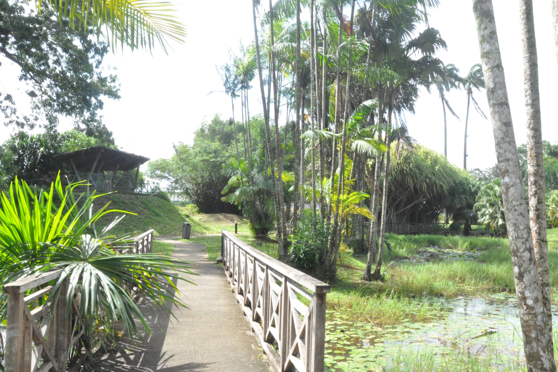 Didwin973 — Travail personnel